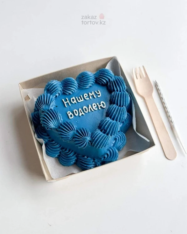 Бенто - торт "Нашему водолею"